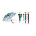 Parapluie droit manuel de 24 côtes avec différents modèles (YS-R1082R)